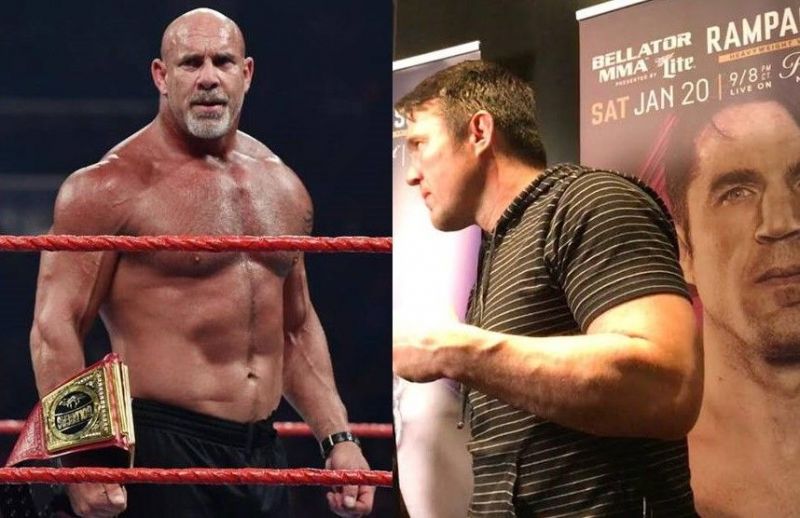 WWE/MMA News: Goldberg and Chael Sonnen in heated exchange ... - 800 x 518 jpeg 67kB