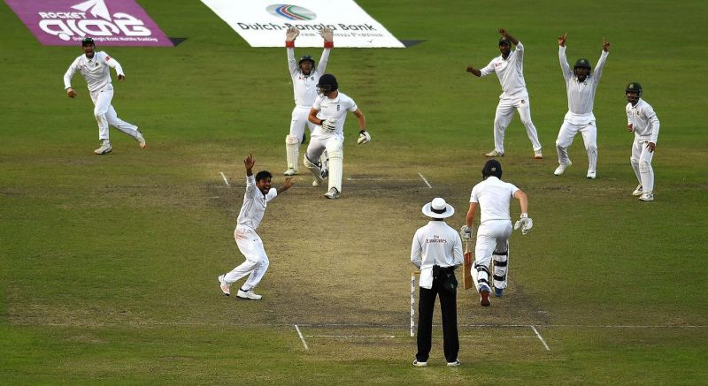 Cricket Importance