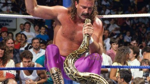 Jake The Snake Roberts DDT Wrestling T Shirt