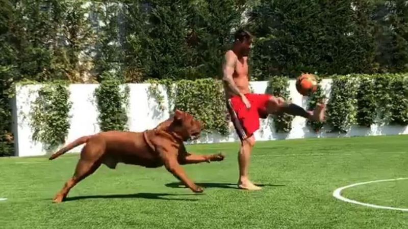 Messi makes his dog go through what so many defenders have