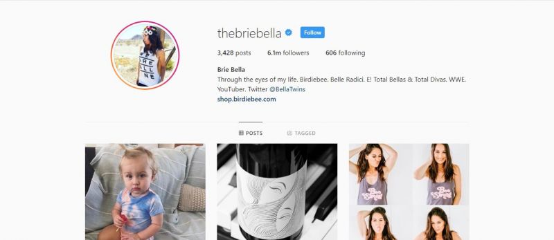brie bella is still a huge part of wwe programming - 8 million instagram followers girl