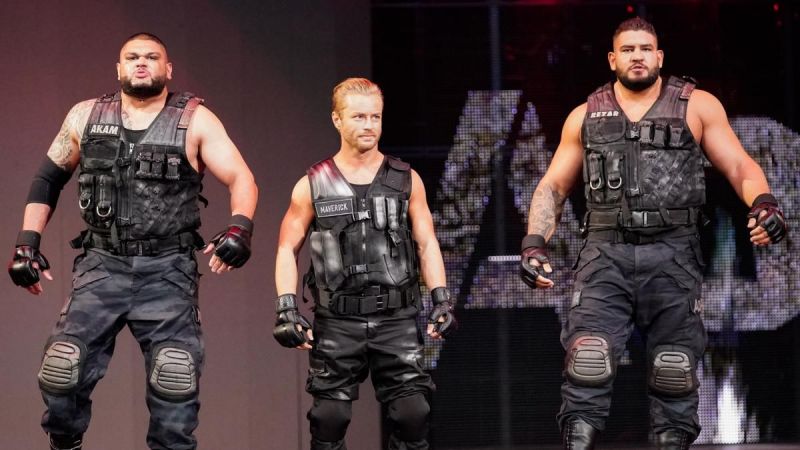 Image result for authors of pain