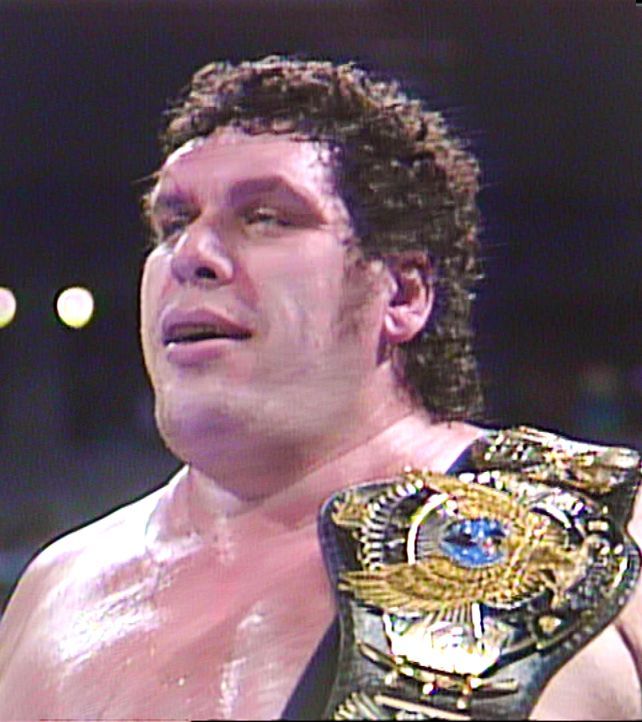 Page 3 10 Wwe Wrestlers You Didnt Remember Were Wwe Champion
