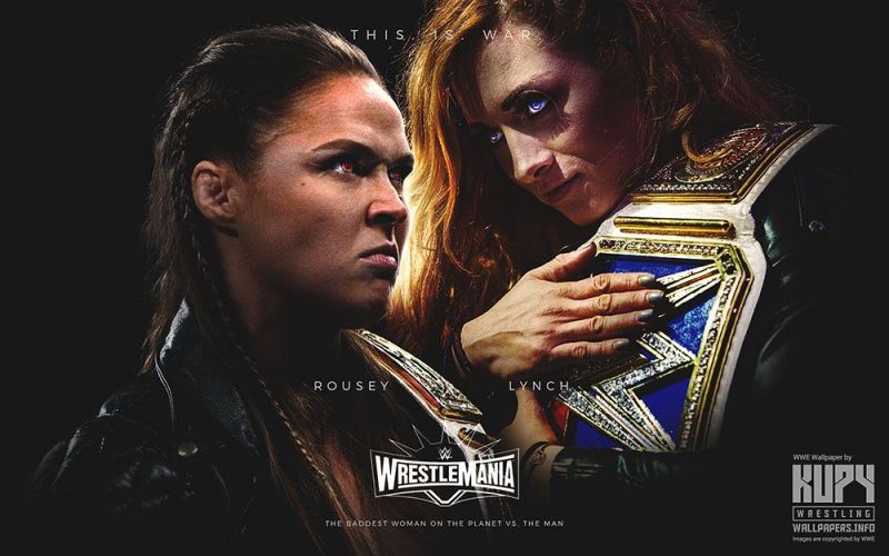 Image result for lynch vs rousey