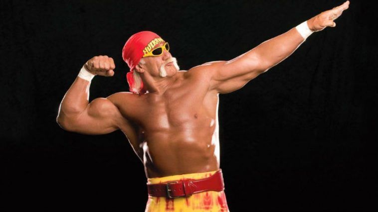 Image result for hulk hogaN