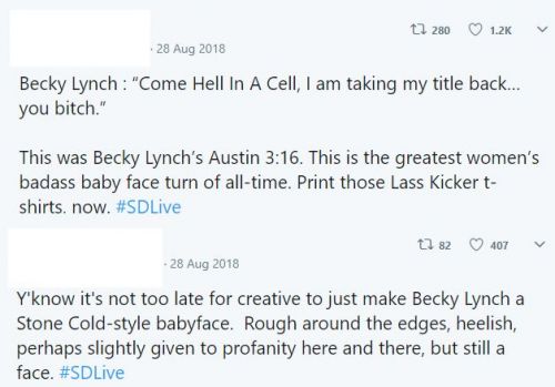   An Important Public of the WWE Universe think Becky is the New Austin 