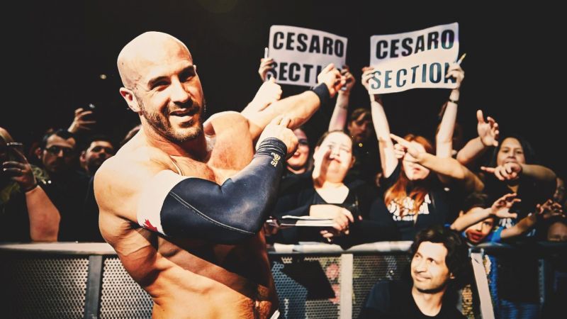 Image result for cesaro section"