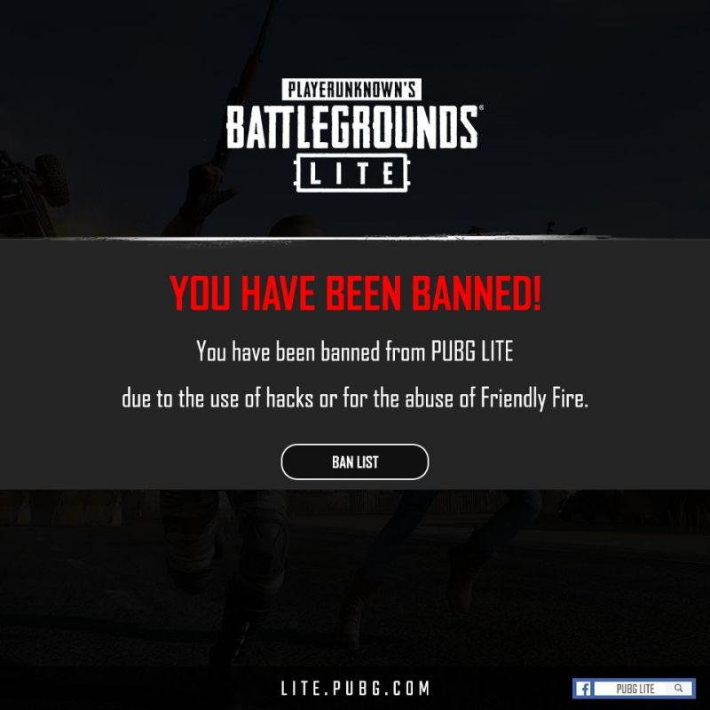 How Much Is Pubg On Pc