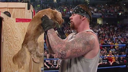 WWE History: Big Show gives The Undertaker a puppy on SmackDown