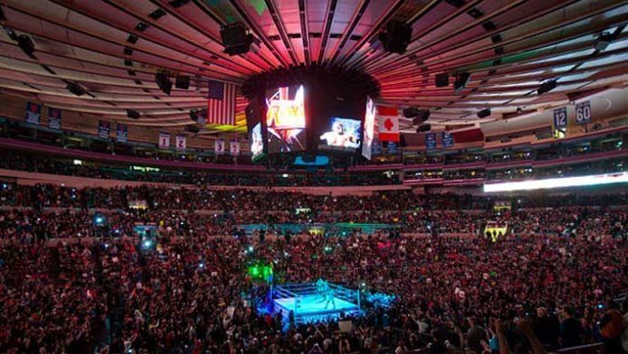 WWE History Vol. 13: The Greatest Matches Held At Madison Square Garden