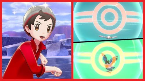 Pokemon Sword And Shield Locations Of All In Game Trades