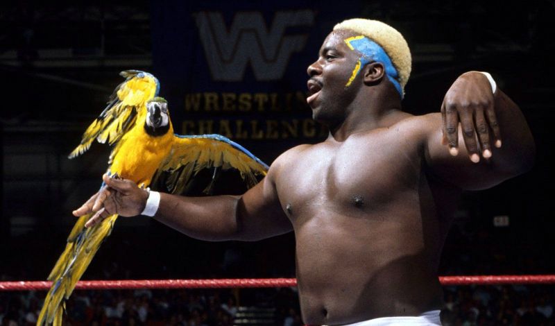 5 Superstars That Brought Animals To The Ring