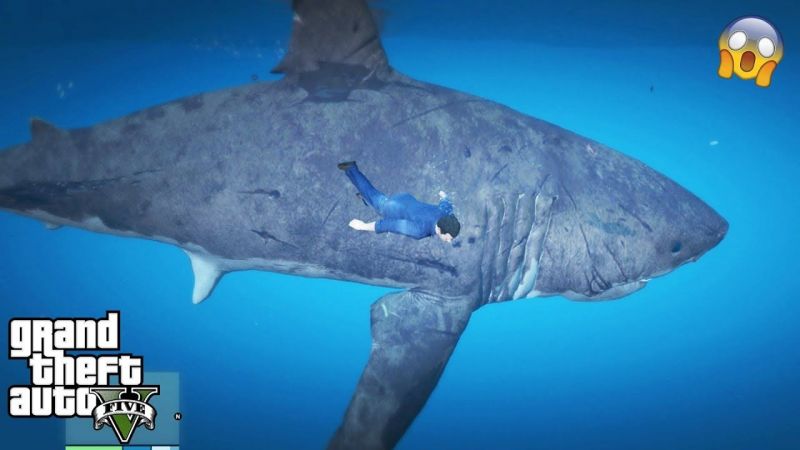 Where To Find Sharks In Gta 5 4803