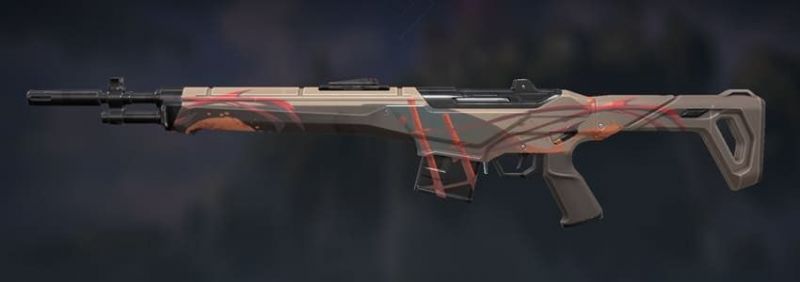 Screengrab from Valorant store