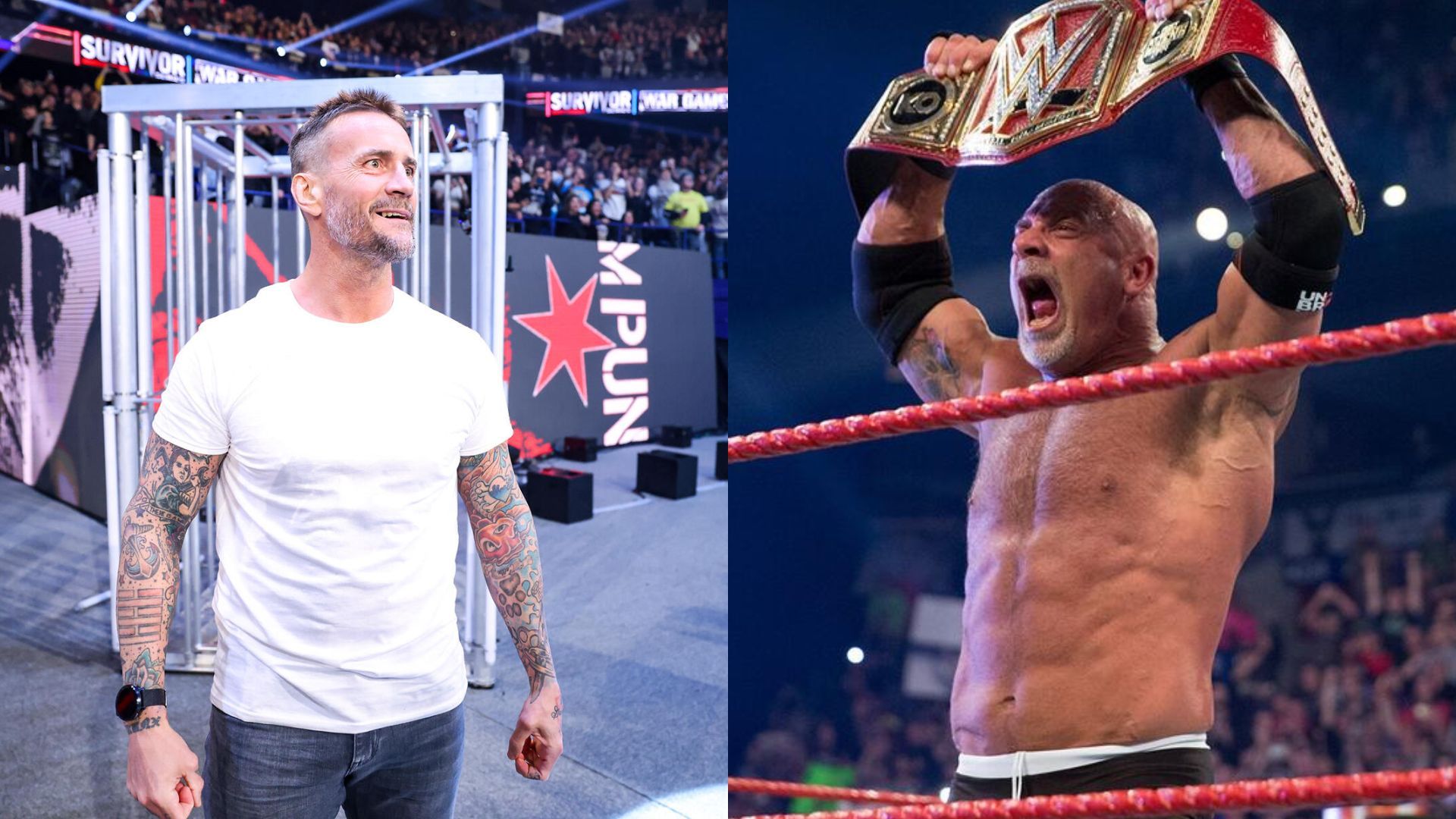 Ex-WWE Superstar will not face much repercussions after taking shots at Goldberg and CM Punk, thinks veteran (Exclusive) thumbnail