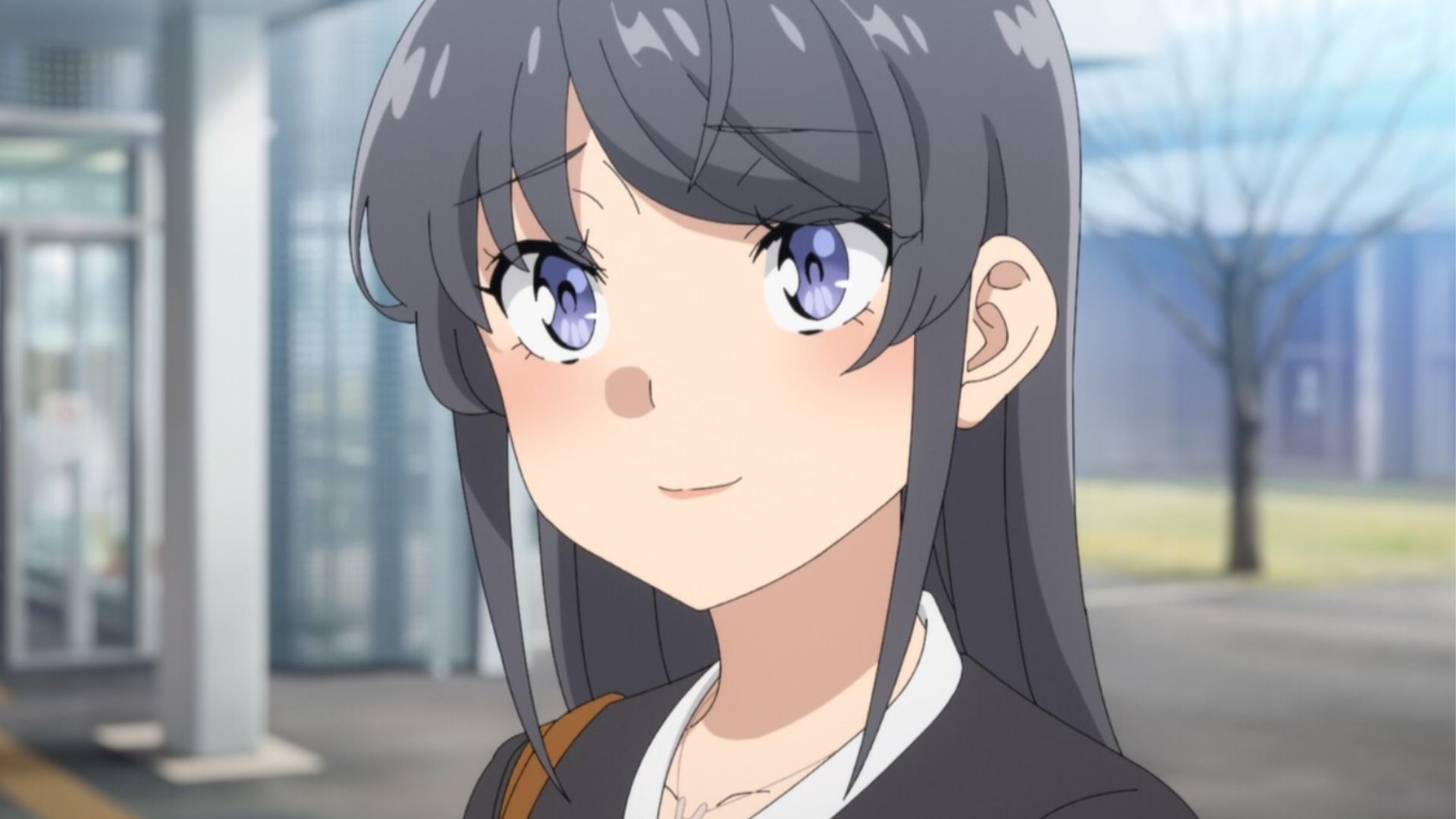Mai Sakurajima as seen in Rascal Does Not Dream of Santa Claus (Image via CloverWorks)