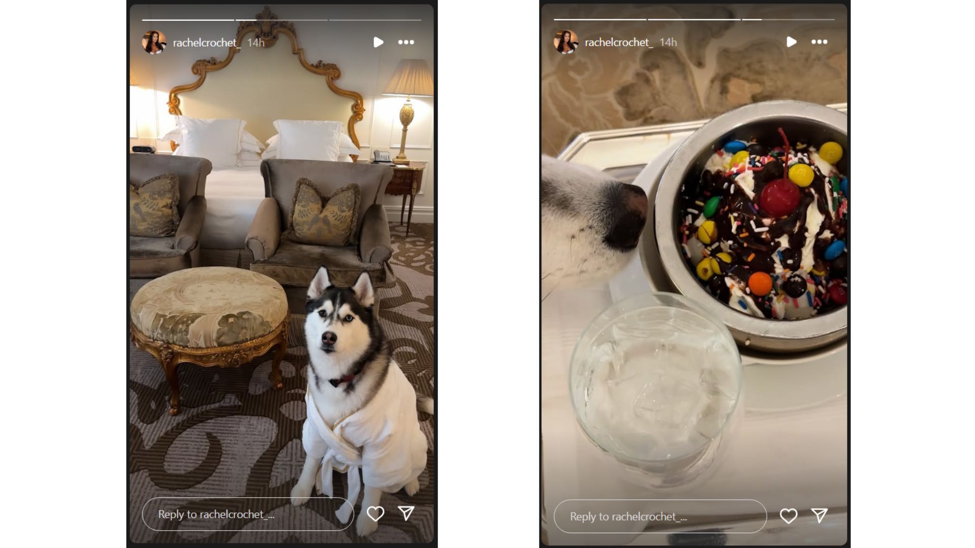 Garrett Crochet and wife Rachel's pet dog Moose embracing the New York lifestyle (Source: Instagram @rachelcrochet_)