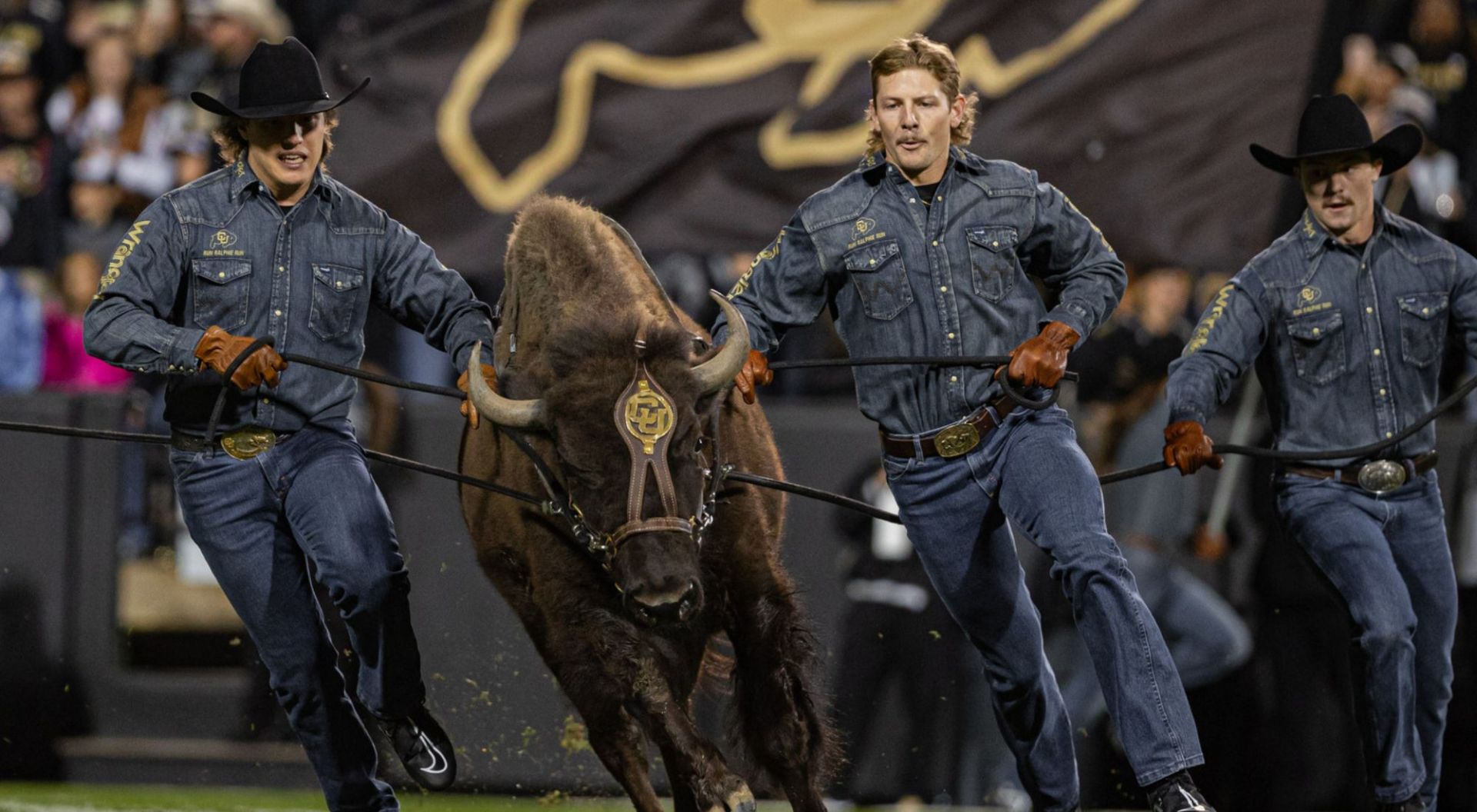 “Tired of running for nothing”: Fans drop hilarious reaction to Colorado mascot's retirement after 4 years