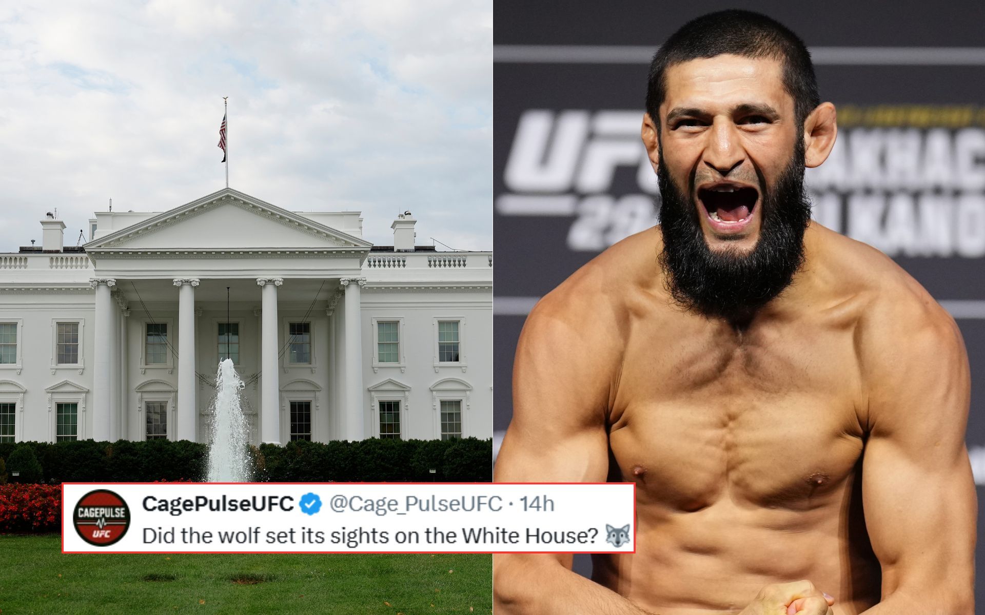 Khamzat Chimaev seemingly eyes UFC White House event, fans react: "You’re not allowed in"