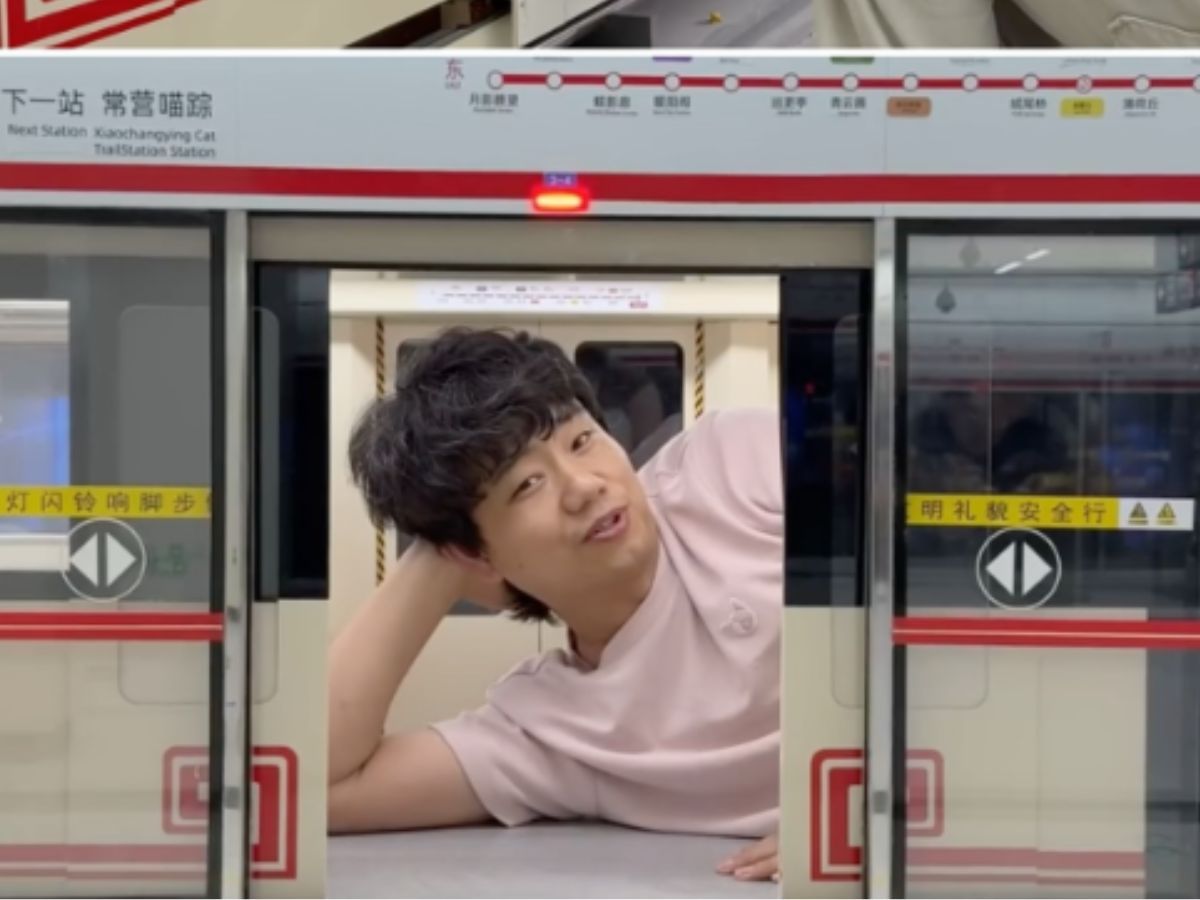 "Just so his cats can still ignore him?" - Internet reacts to YouTuber Xing's World building a miniature town, including a McDonald's, for his cats
