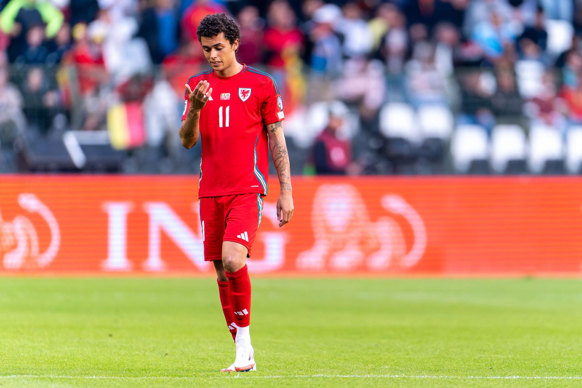 Wales vs Canada Prediction and Betting Tips | September 9th 2025