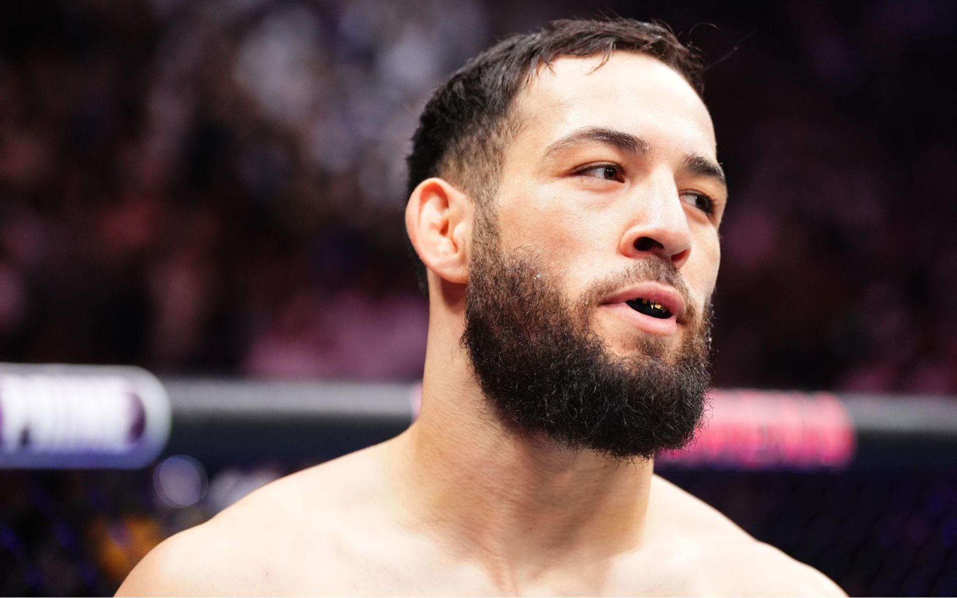 "That's the unfortunate part of mixed martial arts" - Daniel Cormier breaks down why Nassourdine Imavov might not be Khamzat Chimaev's next challenger