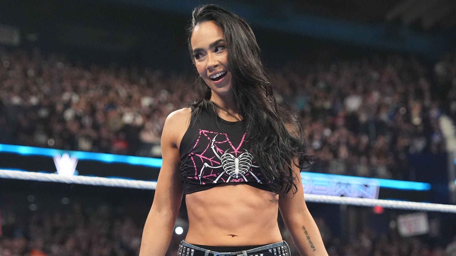 Shocking details about AJ Lee's new contract, according to former WWE veteran (Exclusive)