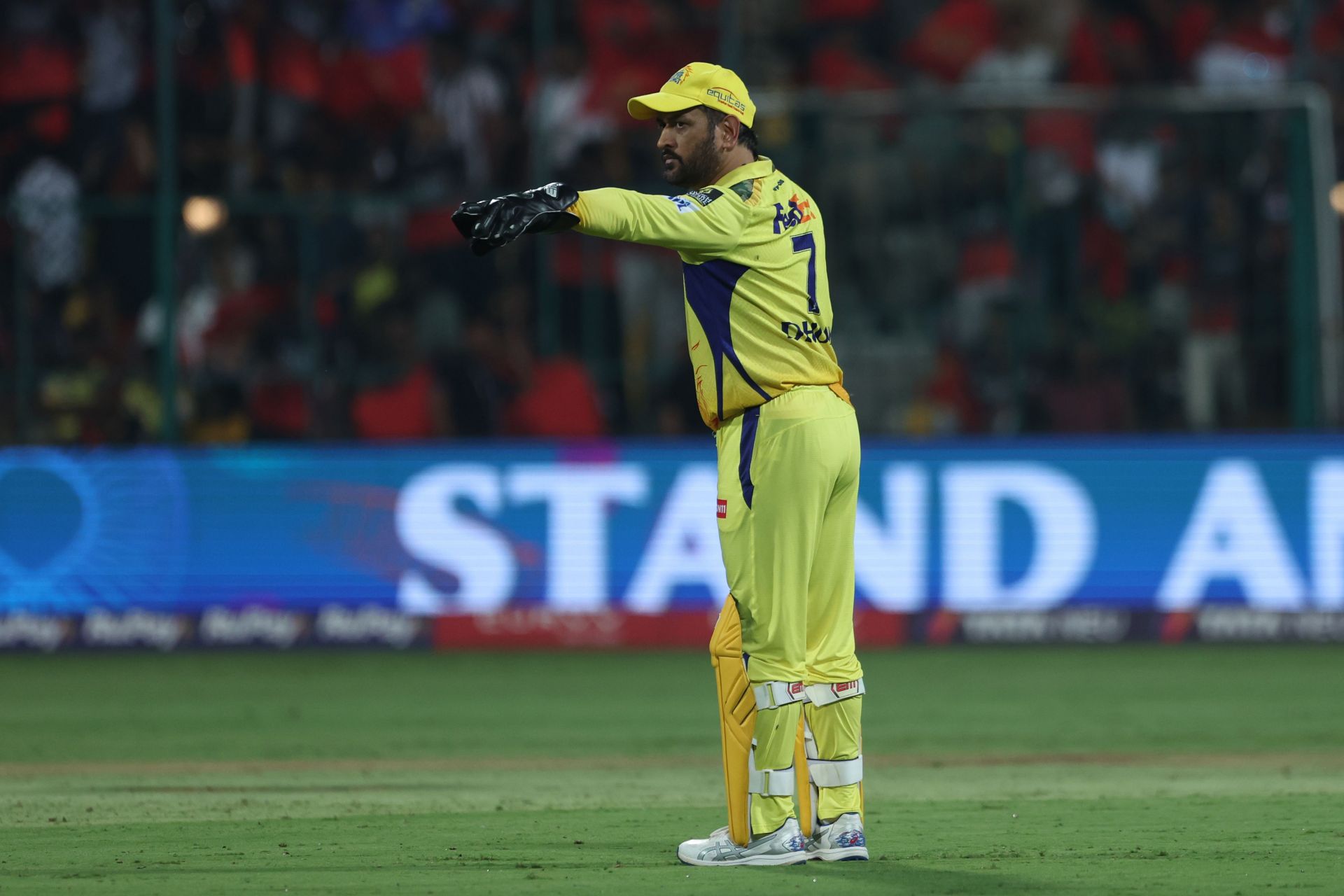 MS Dhoni attends US Open 2025 quarterfinal featuring Novak Djokovic [Watch]