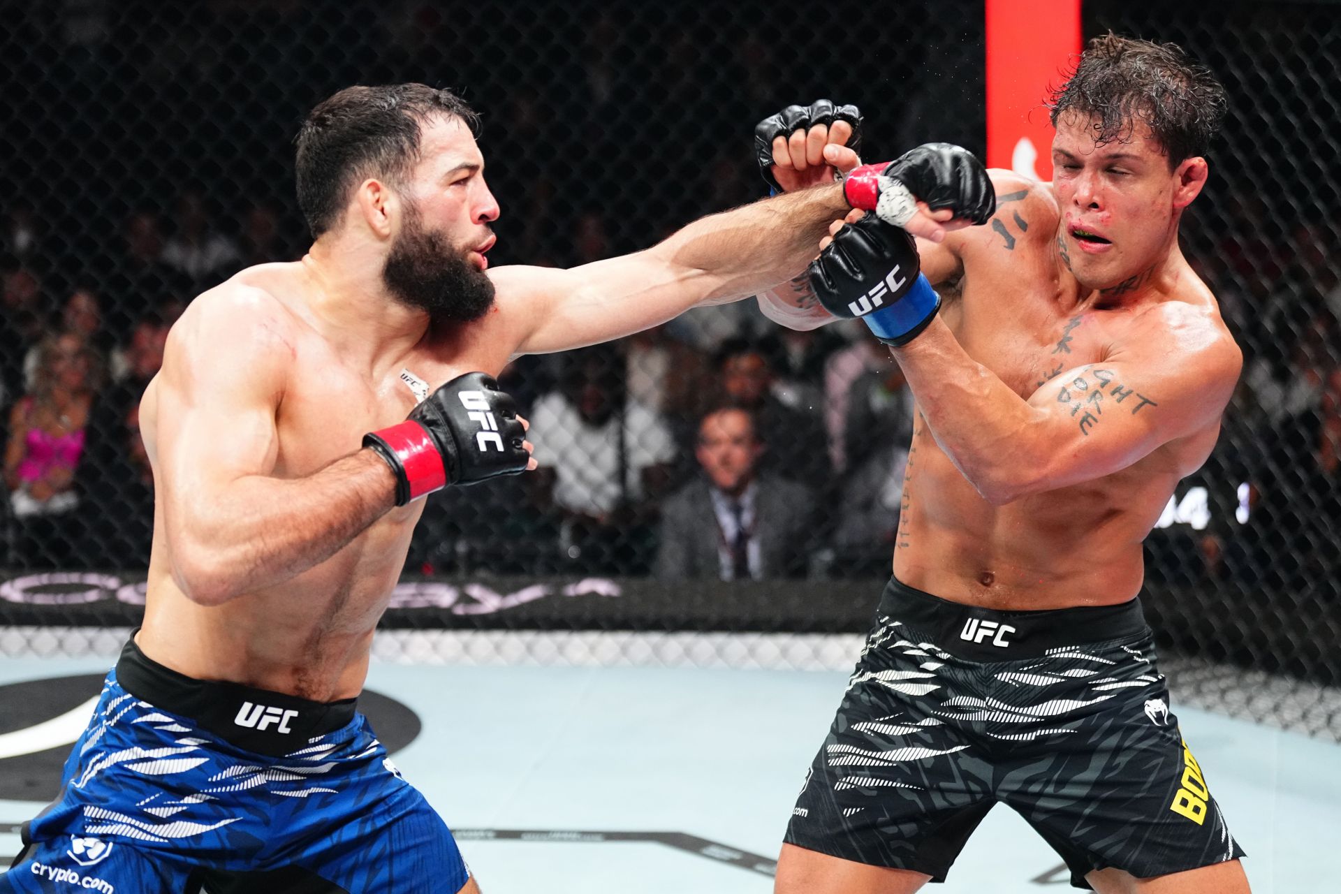 "He was content to stand up and fight" - Former UFC champ questions Caio Borralho’s game plan after Nassourdine Imavov defeat at UFC Paris