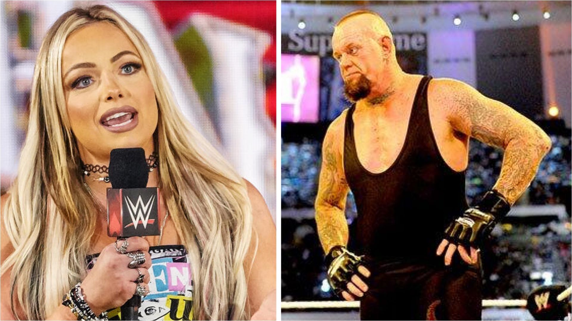 Liv Morgan, The Undertaker, And Multiple Stars Set to Be Present For Blockbuster WWE Announcement - Reports