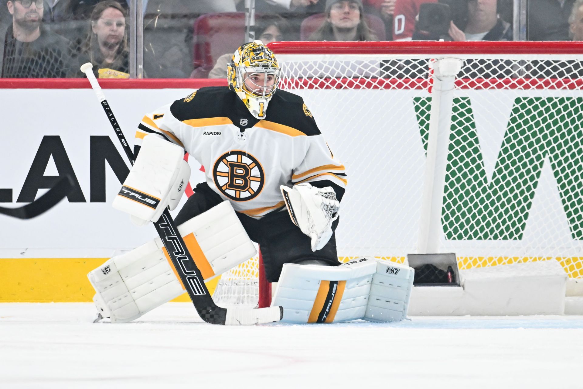In Photos: Bruins' Jeremy Swayman gets engaged to partner Alessandra