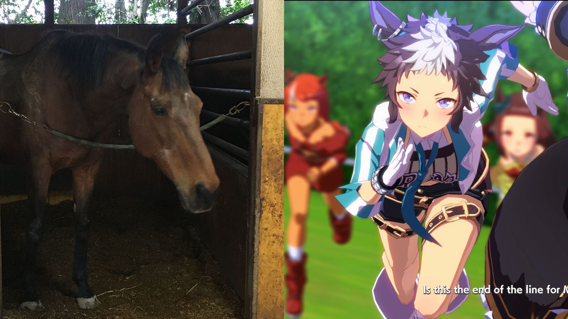 Haru Urara, the real-life inspiration behind an Umamusume Pretty Derby character, has passed away