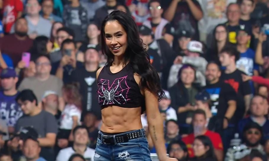 AJ Lee's WWE future revealed - Reports