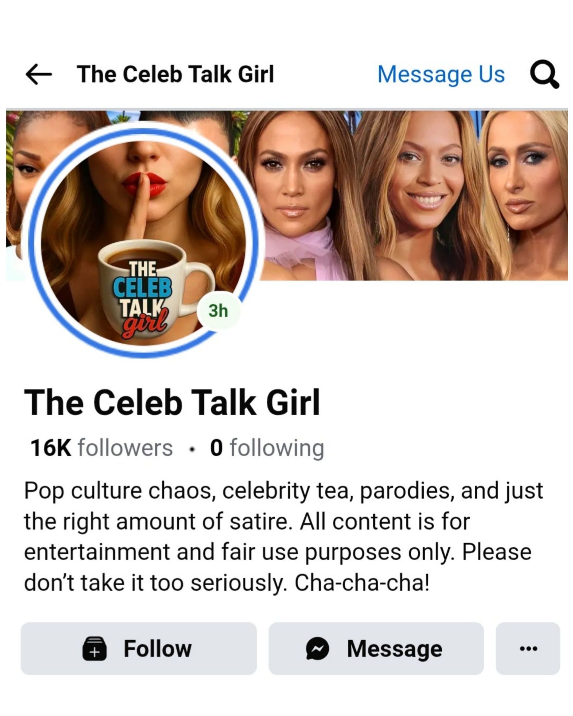 The bio of the page suggests that it makes satirical content, (Photo via Facebook/The Celeb Talk Girl)