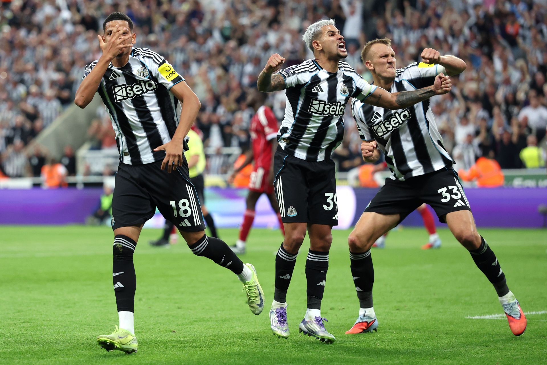 Newcastle United vs Wolves Prediction and Betting Tips | September 13 2025