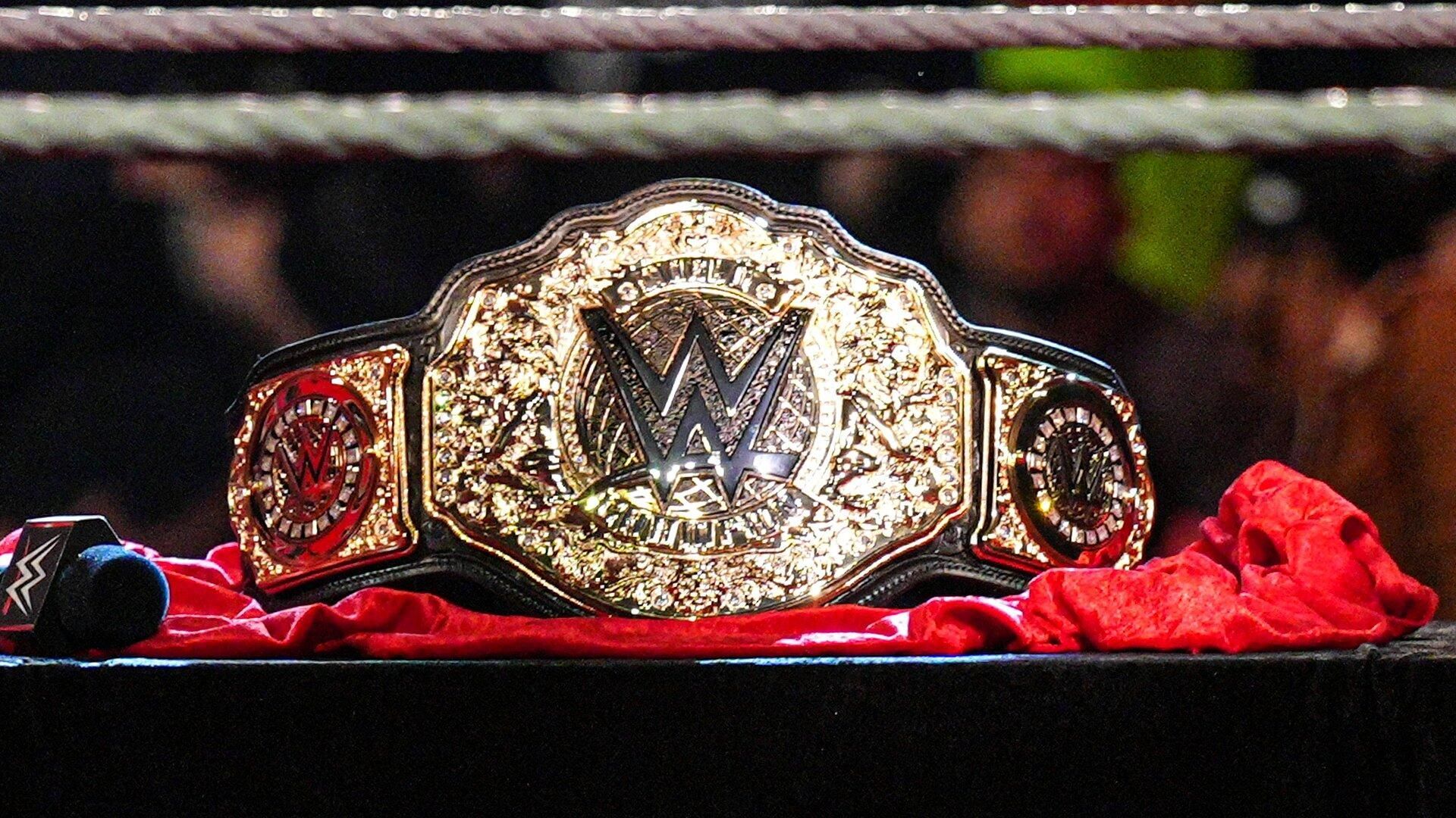 Former WWE World Heavyweight Champion confirms he may not wrestle again 