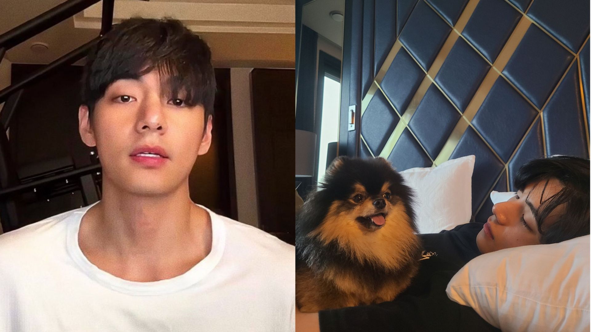 "So insensitive and selfish"- Fans divided over Weverse live request for BTS' Taehyung to sing on late pet Yeontan's birthday