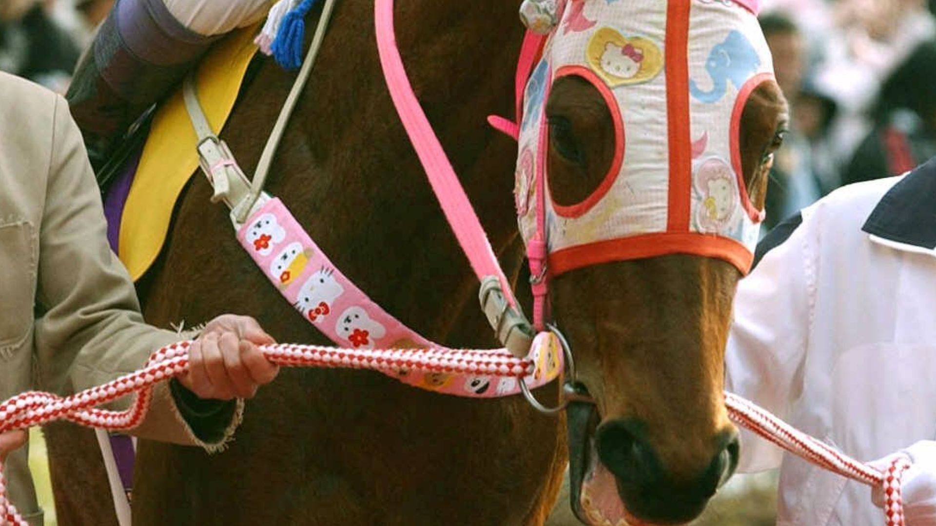 Which mobile game character was inspired by Haru Urara? Famous Japanese racehorse dies at 29