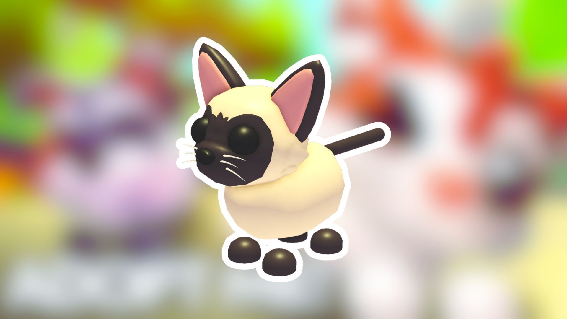 How to get Siamese Cat in Adopt Me