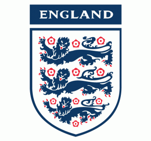 Image result for 3 lions badge