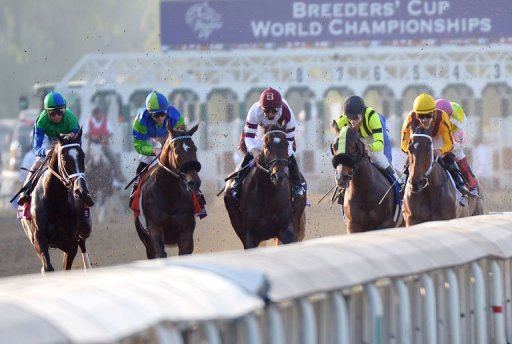 Jockey Mike Smith rides Royal Delta (C) to victory in the Breeder's Cup Ladies' Classic Jockey Mike Smith rides Royal Delta (C) to victory in the Breeder's Cup Ladies' Classic