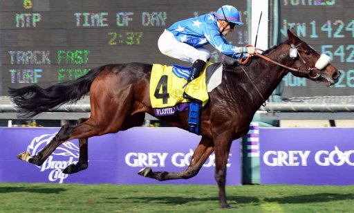 Jockey Christophe Lemaire rides Flotilla to victory in the Breeder's Cup Juvenile Fillies Turf race Jockey Christophe Lemaire rides Flotilla to victory in the Breeder's Cup Juvenile Fillies Turf race