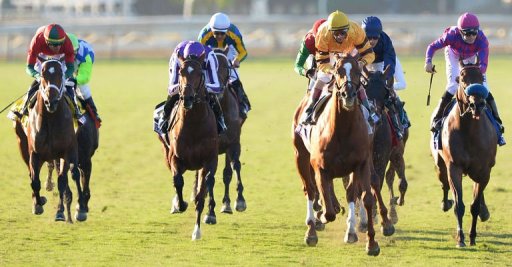 Jockey John Velazquez on Wise Dan (2R) rides for victory at the Breeders' Cup Mile Jockey John Velazquez on Wise Dan (2R) rides for victory at the Breeders' Cup Mile
