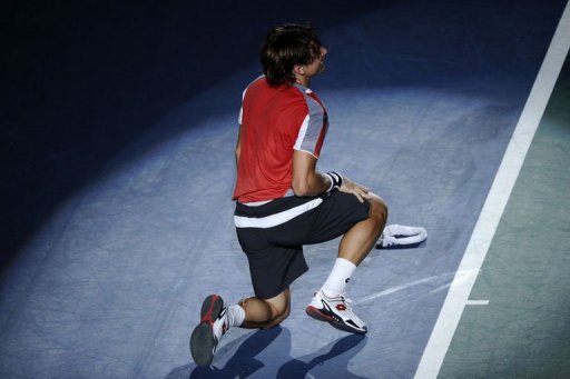 David Ferrer celebrates after winning the match David Ferrer celebrates after winning the match