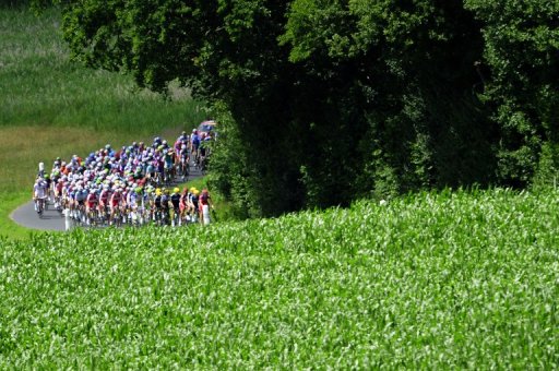 The pack rides in the 2012 Tour de France The pack rides in the 2012 Tour de France