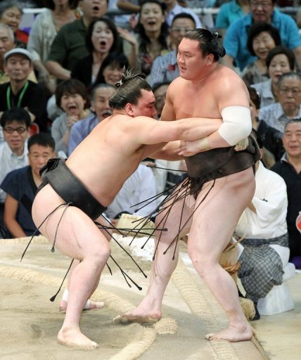 Both Harumafuji (left) and Hakuho (right) entered the final bout in Nagoya with 14-0 records Both Harumafuji (left) and Hakuho (right) entered the final bout in Nagoya with 14-0 records
