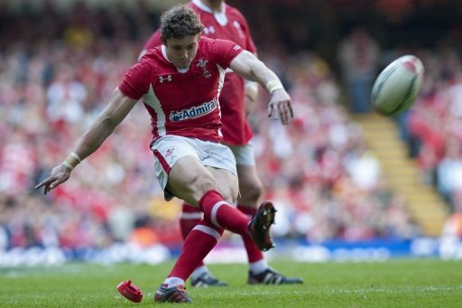 Wales are the reigning European champions, having claimed a third clean sweep of the Six Nations in eight years Wales are the reigning European champions, having claimed a third clean sweep of the Six Nations in eight years