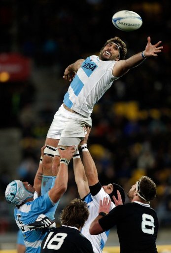 Argentina come into Saturday's match against Wales fresh from a promising debut in the Rugby Championship Argentina come into Saturday's match against Wales fresh from a promising debut in the Rugby Championship