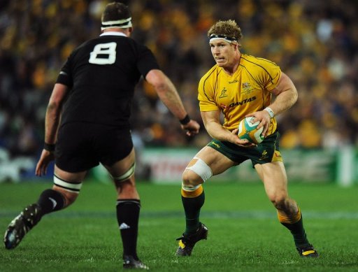 Australia's back-row star David Pocock has been ruled out of the Cook Cup Test match with a calf injury Australia's back-row star David Pocock has been ruled out of the Cook Cup Test match with a calf injury