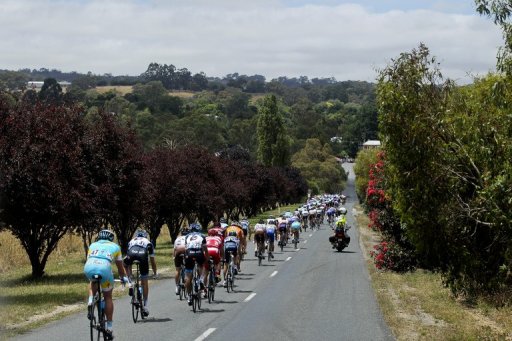 Since Lance Armstrong scandal broke, two senior Aussie cycling figures have admitted to doping Since Lance Armstrong scandal broke, two senior Aussie cycling figures have admitted to doping